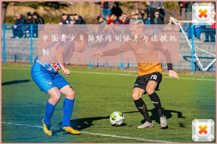 中国青少年排球培训体系与选拔机制